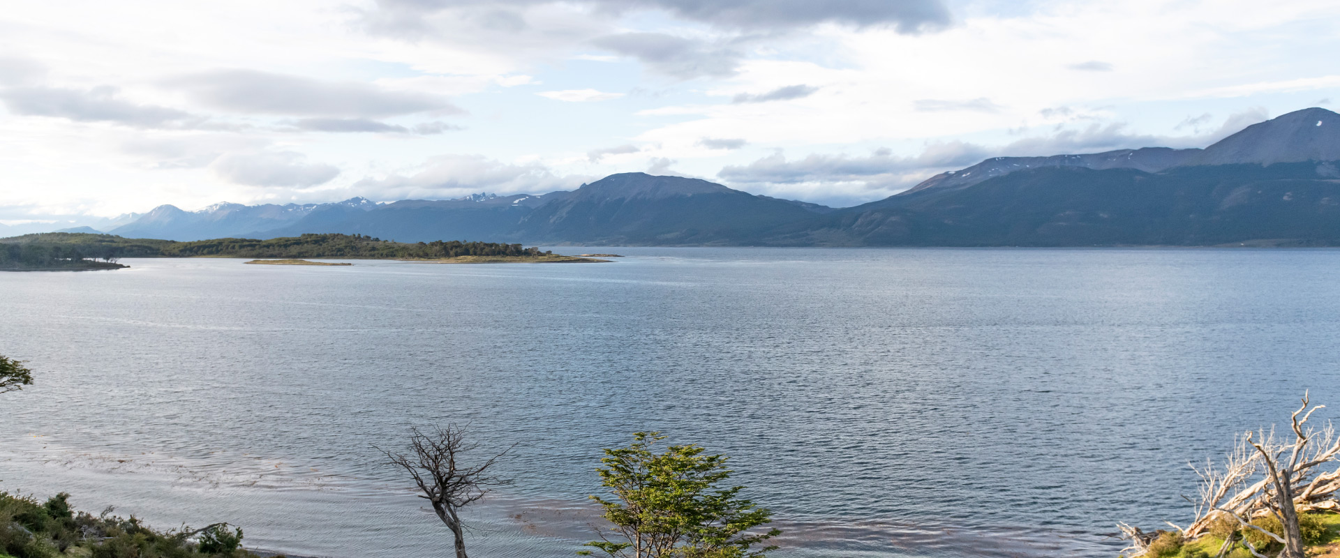 Andean-banner-4