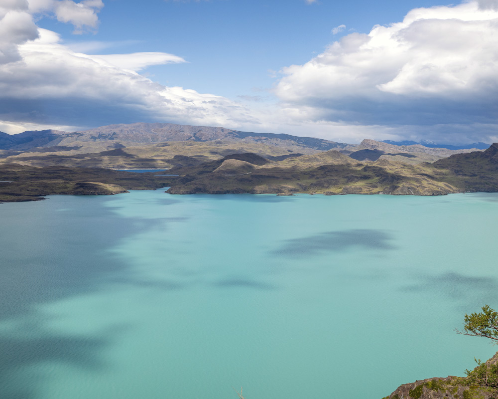 Andean-banner-mov-2