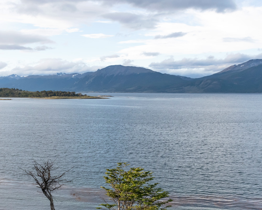 Andean-banner-mov-4